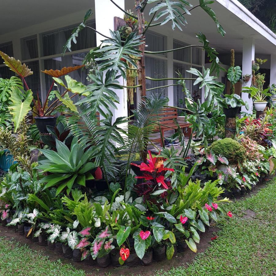 The Forest Holiday home